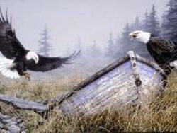 Two bald eagles, by an old wooden boat.