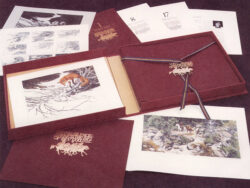 Where Silence Speaks: The Art of Bev Doolittle Livre Due Lux, in stock and for sale.