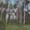 June Birch Forest, an original oil by John Horejs for sale.