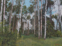 June Birch Forest, an original oil by John Horejs for sale.