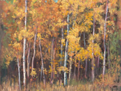 Canvas of an Aspen Stand in the Fall.
