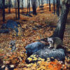 Two raccoons in the woods during the fall.