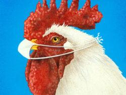 Dr. Pecker by Will Bullas for sale.