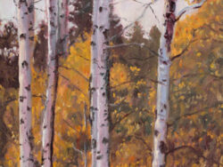 Original oil of apsen trees in the fall, for sale.