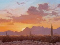 An original oil on canvas of a Desert landscape scene with cactus in the setting sun.