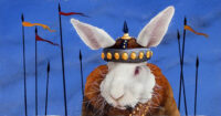 This is an image of a rabbit posing as Atilla the Hun on metal.