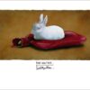 A white rabbit sitting on a hot water bottle.