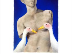 Two ducks covering up the statue of Venus de Milo.