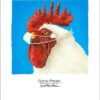 A rooster wearing a surgical mask.