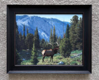 Tucker smith artwork for sale.