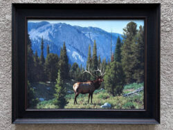 Tucker smith artwork for sale.