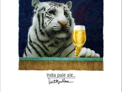 A Indian White Tiger is drinking an IPA Beer.