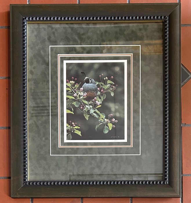 Framed Orchard Quail by Terry Isaac for sale.