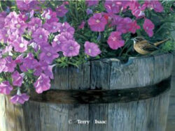 Southern Comfort by Terry Isaac for sale.