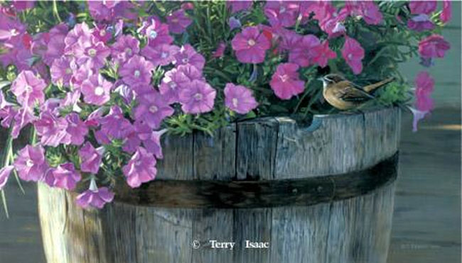 Southern Comfort by Terry Isaac for sale.