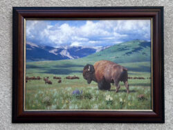 Tucker Smith artwork for sale.
