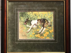 Framed Spring Break by Bev doolittle is available for sale.