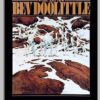The Art of Bev Doolittle book, hard cover, unsigned and signed copies for sale.