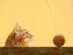 Walikin the Cat by Will Bullas, available on metal.