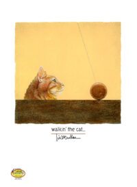 New release by Will Bullas. Walkin the Cat.