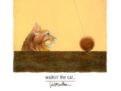 New release by Will Bullas. Walkin the Cat.