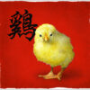 Will Bullas Year of the Rooster
